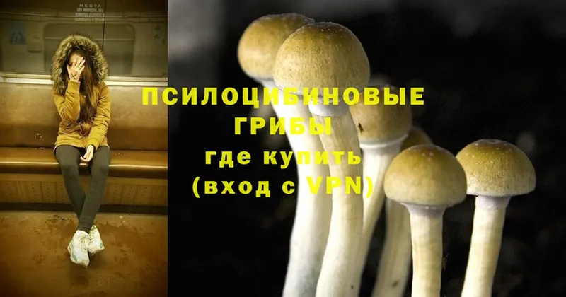 что такое наркотик  Копейск  Псилоцибиновые грибы Magic Shrooms 